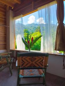 um quarto com uma janela com uma cadeira e uma planta em Frana Lodge em El Zaino