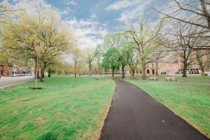 un camino en un parque con bancos y árboles en -- AGH Walkable - Free Parking - Washer & Dryer --, en Pittsburgh