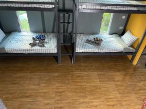 Cette chambre comprend 2 lits superposés et du parquet. dans l'établissement The view Hostel, sur les Îles Phi Phi