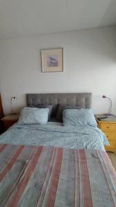 a bedroom with a large bed with two pillows at Espectacular vista y central in Viña del Mar
