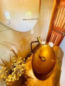 uma casa de banho com um WC dourado e um espelho em Kalis Inn em Alto Paraíso de Goiás