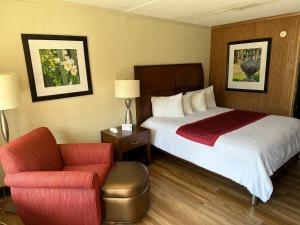 Habitación de hotel con cama y silla en Daniel Boone Motor Inn en Pikeville