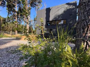 Anteriores a la casa politicoticoliticoliticoliticoliticolitiocólica en Nandina, en el bosque y playa, en La Pedrera