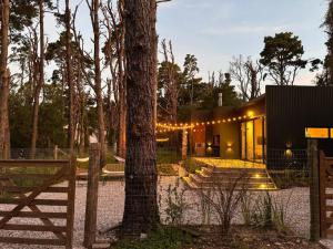 a house with a tree in front of it at Nandina, en el bosque y playa in La Pedrera
