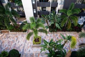 an apartment courtyard with palm trees and plants at Urban Luxury City Apartment with Pool and Parking in Brisbane