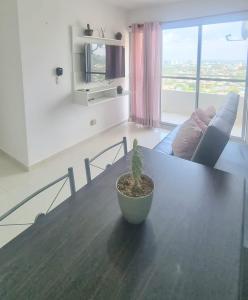una maceta sentada en una mesa en una sala de estar en Mirador Piso 17 - Acogedor y Exclusivo apartamento en piso 17 con vista al mar, en Cartagena de Indias