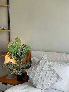 a bed with a pillow and two plants on a table at White Lotus Hotel - Swanbay in Phước Lý