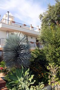 a building with a lot of plants in front of it at B&B Villa il Sughero in Monopoli