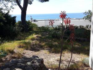 Příroda nedaleko vily + 3 fotografie