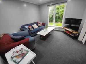 a living room with a blue couch and a table at Peaceful by the Park in Invercargill