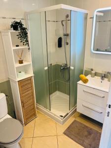 ein Bad mit einer Dusche, einem WC und einem Waschbecken in der Unterkunft Ocean View Chambre in Saint-Leu