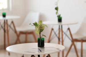 a small green plant on a white table at Best Canggu Hostel in Canggu
