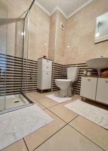 La salle de bains est pourvue de toilettes, d'un lavabo et d'une douche. dans l'établissement Quartier Administratif, à Tetouan