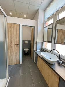 La salle de bains est pourvue d'un lavabo et de toilettes. dans l'établissement Apartmánový byt, à Valašské Meziříčí