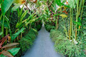 a walking path through a garden with plants at Rama Residence Petitenget in Seminyak