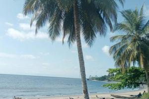two palm trees on a beach with the ocean at La Maison Du Voyageur in Kribi