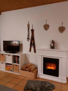 sala de estar con chimenea y TV en Apartment Gerlitzen Garden, en Treffen