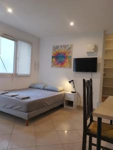 1 dormitorio con 1 cama y TV de pantalla plana en Cosy studio pour deux personnes en Vitry-sur-Seine