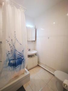 y baño con aseo y cortina de ducha. en Cosy studio pour deux personnes, en Vitry-sur-Seine