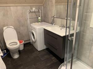 a bathroom with a toilet and a sink and a shower at Leilighet i rorbu på Kaldfarnes - Yttersia Senja in Kaldfarnes