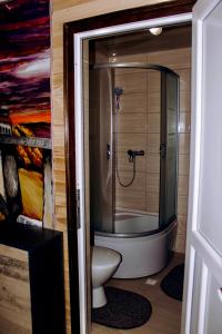 a bathroom with a shower with a toilet in it at ЛемГора in Vorokhta