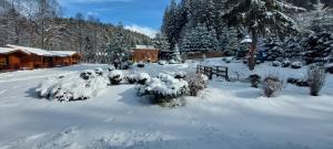 a yard covered in snow next to a cabin at Vidra Park in Sicasău