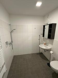 łazienka z toaletą i umywalką w obiekcie Barrierefreie Ferienwohnungen in der Nähe der Golf- und Freizeitanlage w mieście Mudau