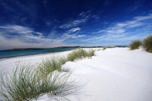 a white sandy beach with grass and the ocean at Lu' Hotel Porto Pino in SantʼAnna Arresi