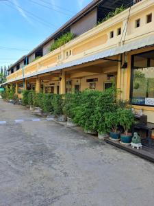 um edifício com vasos de plantas ao lado em PPS.Guest House em Lop Buri