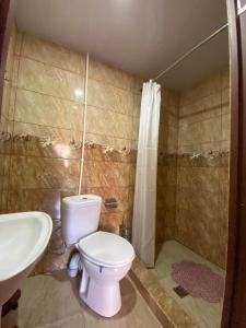 uma casa de banho com um WC e um lavatório em Guest House Gordila em Omalo