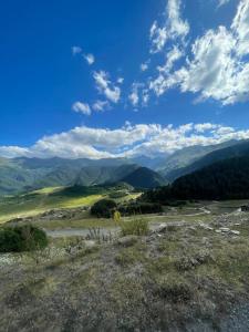 Paesaggio naturale nelle vicinanze dell'affittacamere
