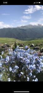 Paesaggio naturale nelle vicinanze dell'affittacamere