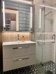 bagno con lavandino e doccia di Apotekbygget a Nesbyen