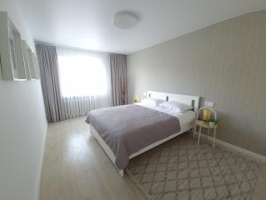 ein Schlafzimmer mit einem großen Bett und einem Fenster in der Unterkunft Haustory Apartment in Klaipėda