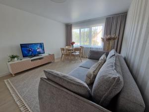 ein Wohnzimmer mit einem Sofa und einem TV in der Unterkunft Haustory Apartment in Klaipėda