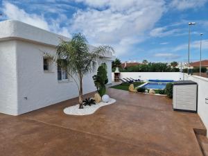 een huis met een palmboom in de tuin bij Riumar "Del Perro", 300m to beach, private pool, On-Site-Service, dog beach in Riumar