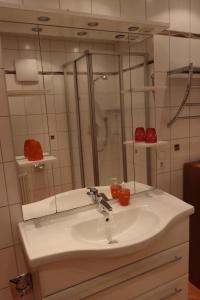 ห้องน้ำของ Ferienwohnungen Schmelzhütte