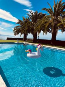 una piscina con un pato de goma en el agua en Villa en una isla con piscina privada!, en La Matanza de Acentejo