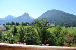 einen Blick auf ein Feld mit Bergen im Hintergrund in der Unterkunft Primushäusl in Strobl