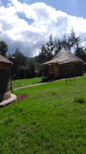 a couple of buildings in a field of grass at Cozy Huts in Nyandarua 