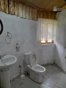 a bathroom with a toilet and a sink at Cozy Huts in Nyandarua 