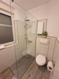 uma casa de banho com um WC e uma cabina de duche em vidro. em Appartment Del Pueblo/Netflix/Zentral/Ideal für 4! em Weiden