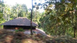 een klein gebouw midden in een bos bij Vanoshi Forest Homestay,Kudase in Maneri