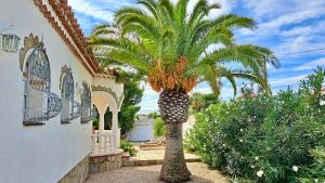 Κήπος έξω από το MEDDAYS VILLA SOL
