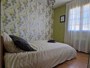 a bedroom with a bed and a curtain and a window at Villa de 2 à 10 personnes tarif en fonction du nombre de personnes in Vonnas