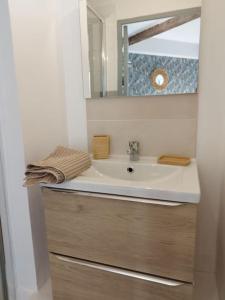 ein Bad mit einem Waschbecken und einem Spiegel in der Unterkunft L'Alisier Du Centre Dijon in Dijon