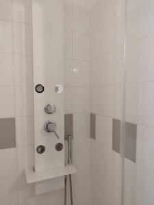 eine Duschkabine mit einer Glastür und einer Dusche in der Unterkunft L'Alisier Du Centre Dijon in Dijon