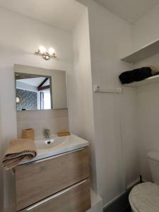 ein Badezimmer mit einem Waschbecken, einem Spiegel und einem WC in der Unterkunft L'Alisier Du Centre Dijon in Dijon