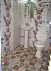 uma casa de banho com um WC e um lavatório em Hotel Star of Kashmir em Srinagar