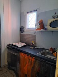 a kitchen counter with a sink and a microwave at Appartements Luccisano in Borgo